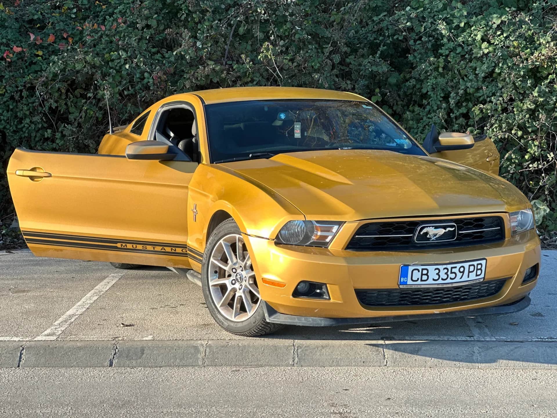 Ford Mustang 2010 4.0
