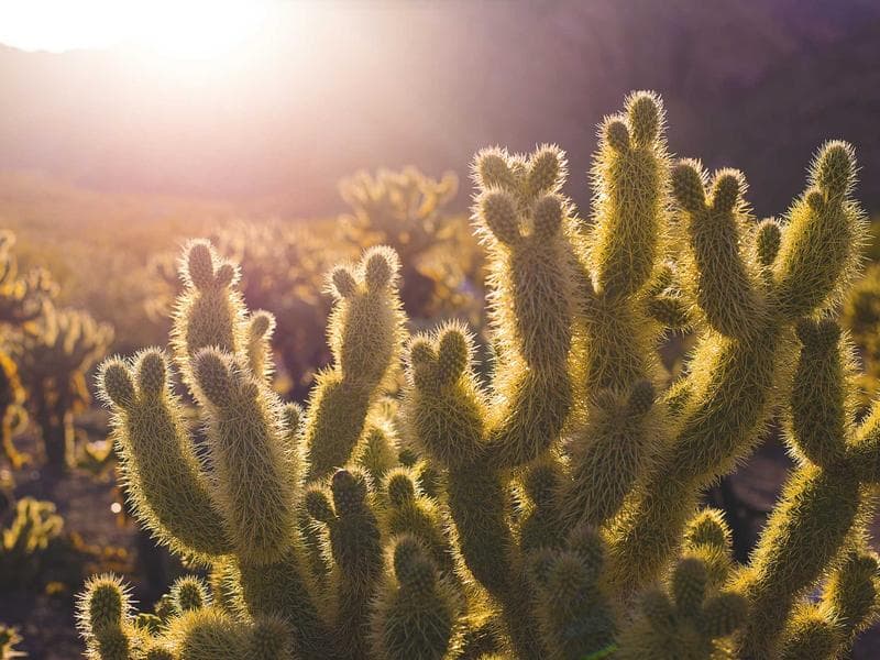 BMW 320d F30 M-Paket