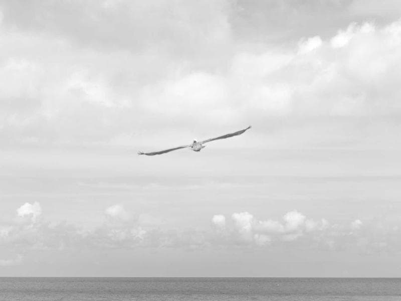 Škoda Octavia 2.0 TDI Style