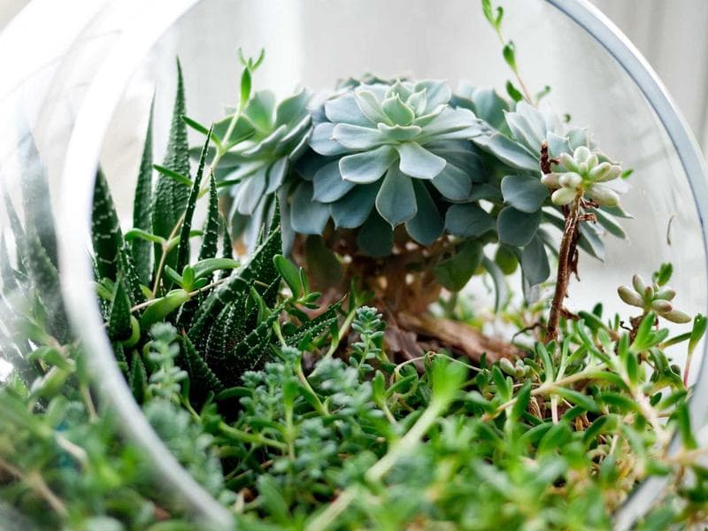 Hyundai Tucson 1.6 CRDi